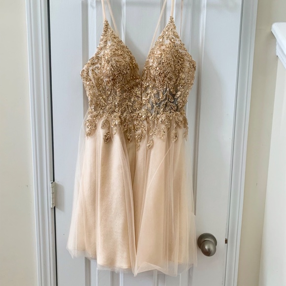 CD0155 (Champagne) - Picture 4 of 4